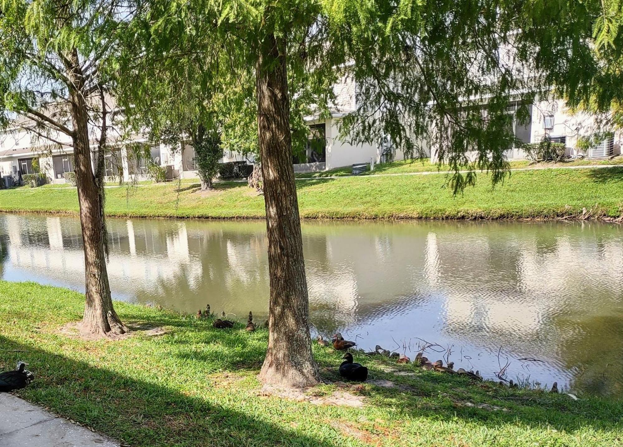 Town Terrace Townhomes Kissimmee Dış mekan fotoğraf